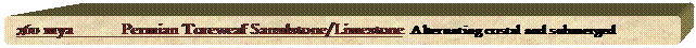 Rounded Rectangle: 260 mya	Permian Toreweaf Sansdstone/Limestone  Alternating costal and submerged

