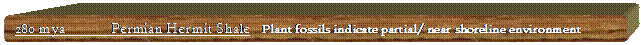 Rounded Rectangle: 280 mya	Permian Hermit Shale   Plant fossils indicate partial/ near shoreline environment

